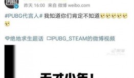 小团团皮肤爆料最新,神秘元素引发热议！